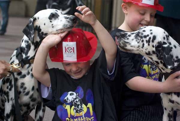 Photo Coverage: 101 DALMATIONS Arrives in New York City 