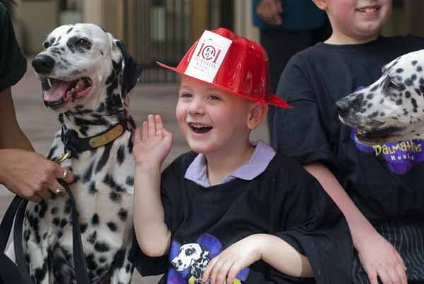 Photo Coverage: 101 DALMATIONS Arrives in New York City Image