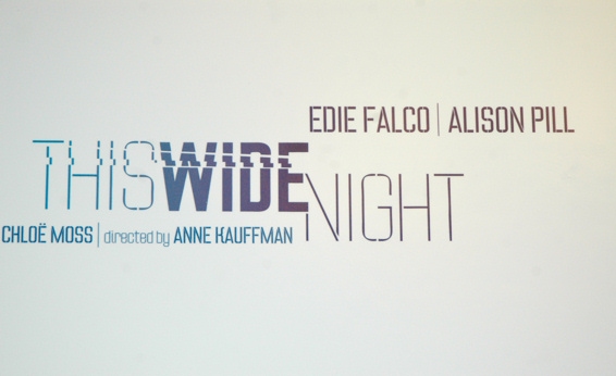Photo Coverage: Falco & Pill-Led THIS WIDE NIGHT Meets the Press 