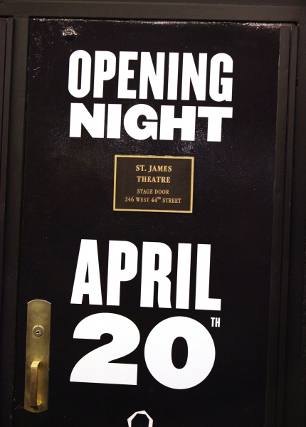 Photo Coverage: AMERICAN IDIOT Opening Night Curtain Call! Image