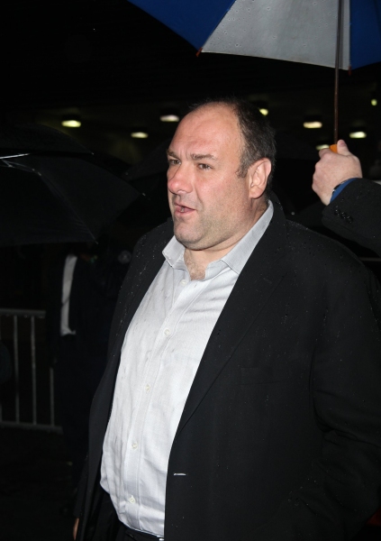 Photo Coverage: FENCES Opening Night Theatre Arrivals Image