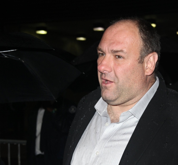 Photo Coverage: FENCES Opening Night Theatre Arrivals Image