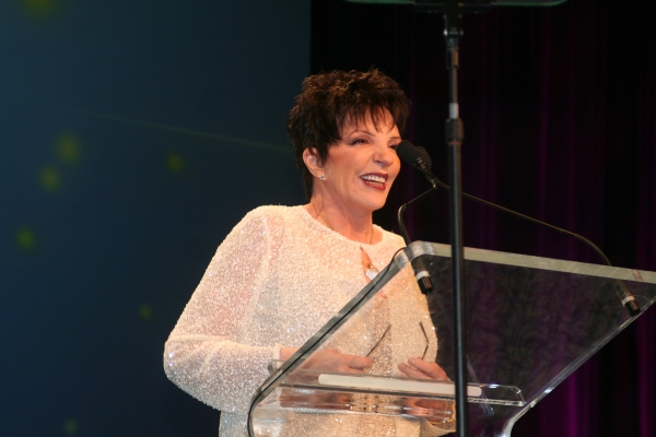 Photo Coverage: PFLAG's Straight for Equality Honors Minnelli and More Image