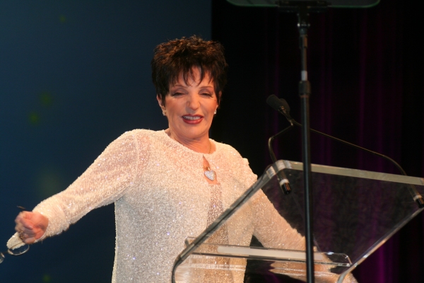 Photo Coverage: PFLAG's Straight for Equality Honors Minnelli and More 