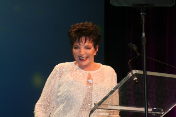 Photo Coverage: PFLAG's Straight for Equality Honors Minnelli and More Image