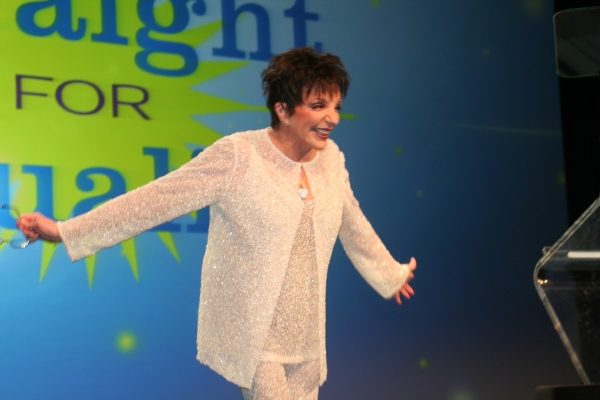 Photo Coverage: PFLAG's Straight for Equality Honors Minnelli and More Image
