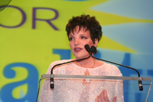 Photo Coverage: PFLAG's Straight for Equality Honors Minnelli and More Image