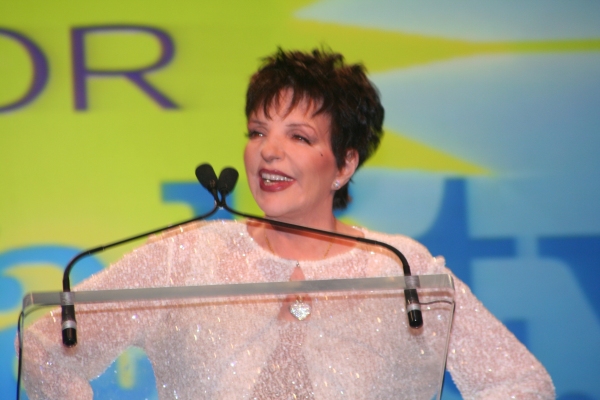 Photo Coverage: PFLAG's Straight for Equality Honors Minnelli and More Image