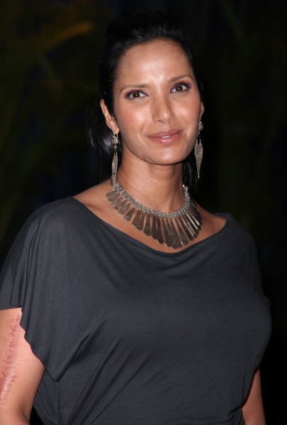 Photo Coverage: 2010 White House Correspondent's Dinner J-M Image