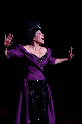 Photo Flash: 26th Annual S.T.A.G.E. Benefit Image