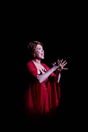 Photo Flash: 26th Annual S.T.A.G.E. Benefit Image