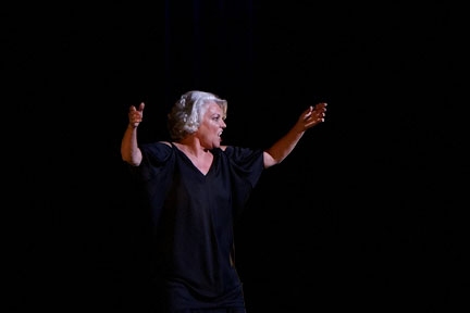 Photo Flash: 26th Annual S.T.A.G.E. Benefit Image