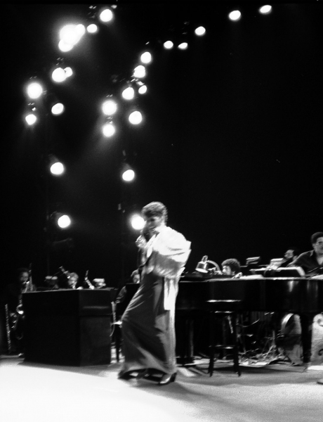 Photo Coverage: BWW Remembers Lena Horne Image