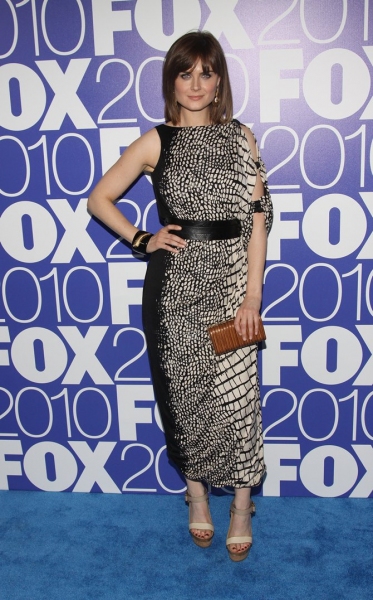 Photo Coverage: FOX '10-'11 Primetime Season Launch Image