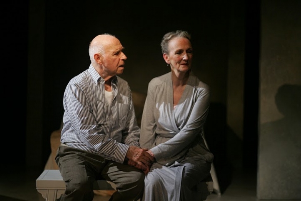 Photo Flash: Karen Malpede's PROPHECY Image