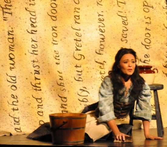 Photo Coverage: Reagle Music Theatre Goes 'Into the Woods' with Rachel York 