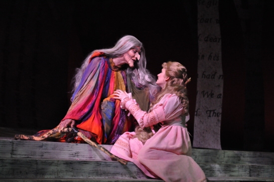 Photo Coverage: Reagle Music Theatre Goes 'Into the Woods' with Rachel York Image