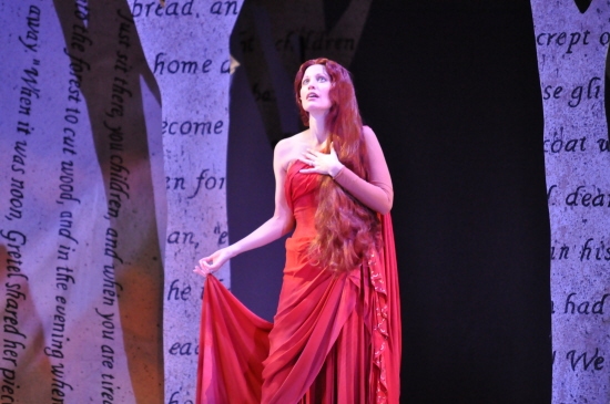 Photo Coverage: Reagle Music Theatre Goes 'Into the Woods' with Rachel York Image