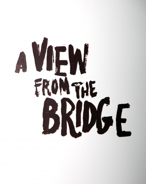 Photo Coverage: A VIEW FROM THE BRIDGE - Opening Night After Party Image
