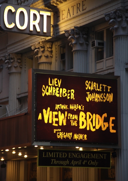 Photo Coverage: A VIEW FROM THE BRIDGE - Opening Night Red Carpet Image