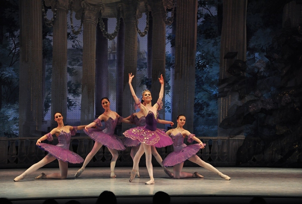 Photo Flash: San Diego Theatres Present Moscow Festival Ballet  Image