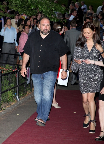 Photo Coverage: THE MERCHANT OF VENICE Celebrity Arrivals Image