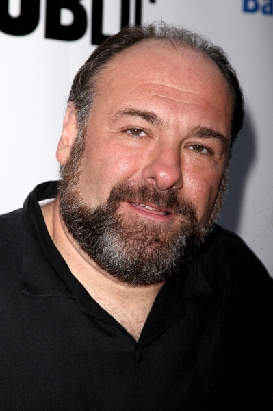 Photo Coverage: THE MERCHANT OF VENICE Celebrity Arrivals Image