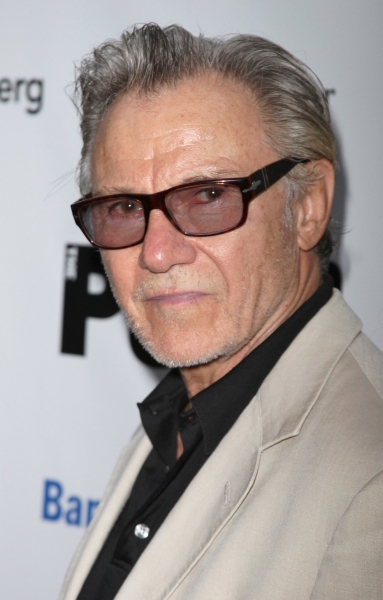 Photo Coverage: THE MERCHANT OF VENICE Celebrity Arrivals Image
