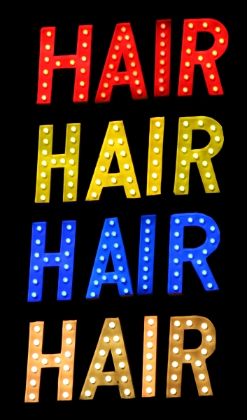 Photo Coverage: HAIR Closes on Broadway Image