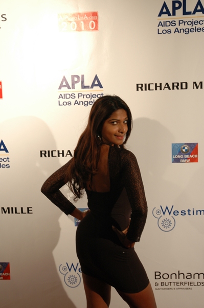 Photo Coverage: APLA Raises $235K with Art Auction Image