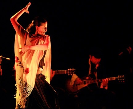 Photo Flash: Maria Bermudez FLAMENCO At The Ford Image