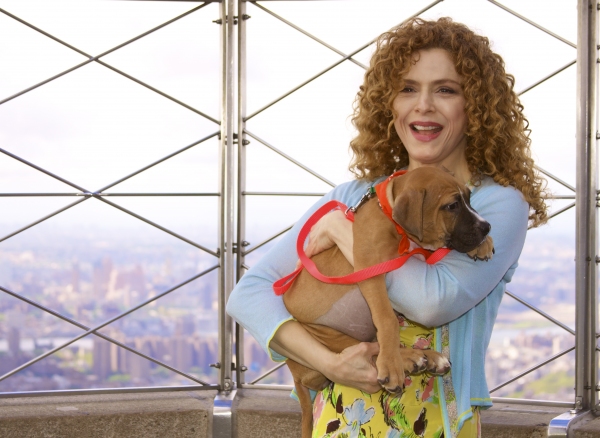 Photo Coverage: Peters Promotes Broadway Barks Adopt-A-Thon Image