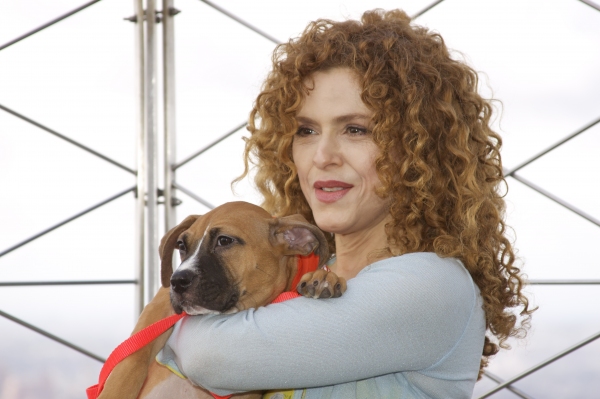Photo Coverage: Peters Promotes Broadway Barks Adopt-A-Thon Image
