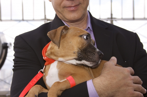 Photo Coverage: Peters Promotes Broadway Barks Adopt-A-Thon Image