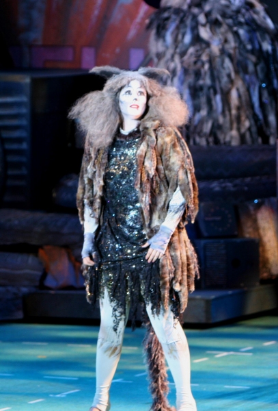 Photo Flash: The Muny Presents CATS Image