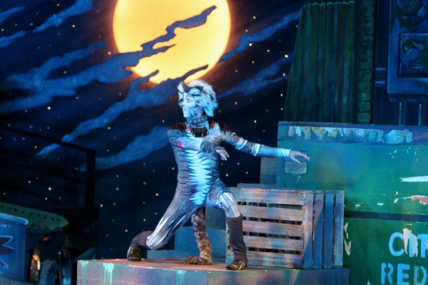 Photo Flash: The Muny Presents CATS Image