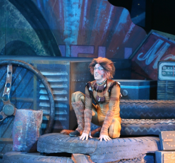 Photo Flash: The Muny Presents CATS Image