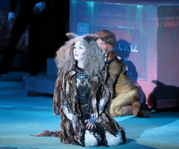 Photo Flash: The Muny Presents CATS Image