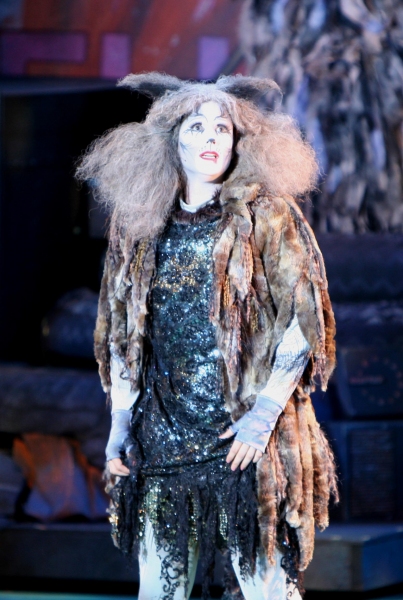 Photo Flash: The Muny Presents CATS Image