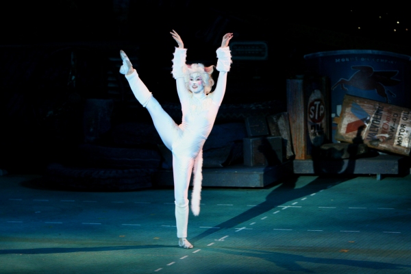 Photo Flash: The Muny Presents CATS Image