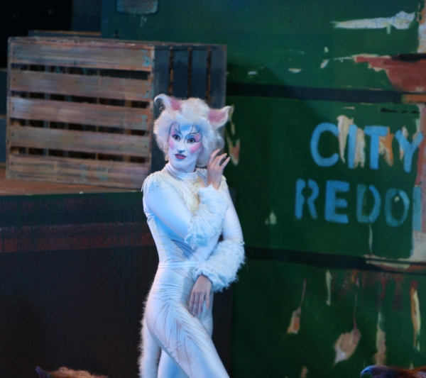 Photo Flash: The Muny Presents CATS Image
