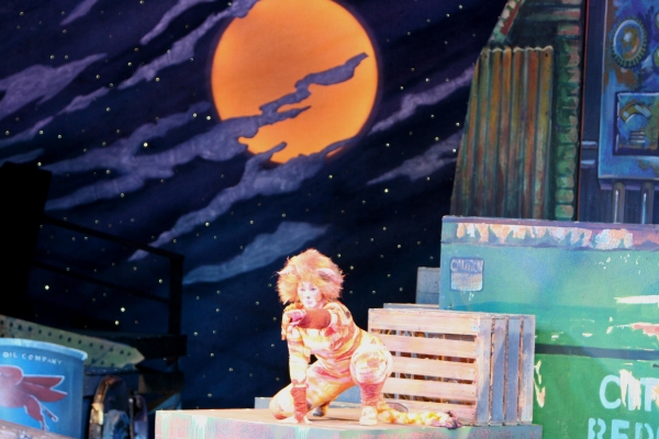 Photo Flash: The Muny Presents CATS Image