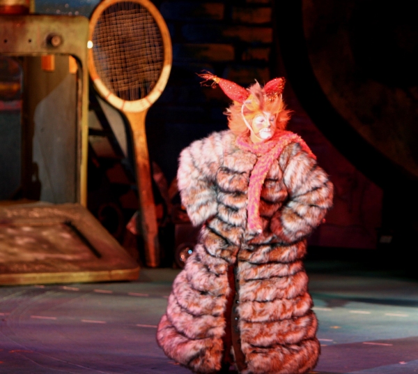 Photo Flash: The Muny Presents CATS Image