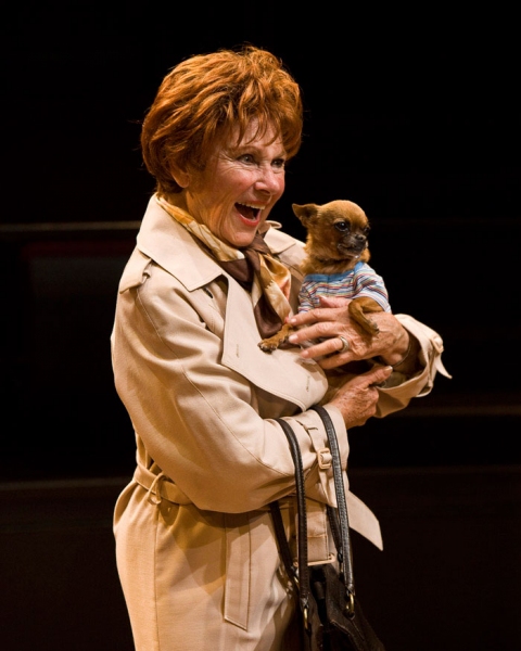 Photo Coverage: DiPietro's THE LAST ROMANCE Previews at The Old Globe Image