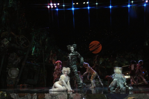 Photo Flash: CATS Manila Official Production Shots - First Look! Image