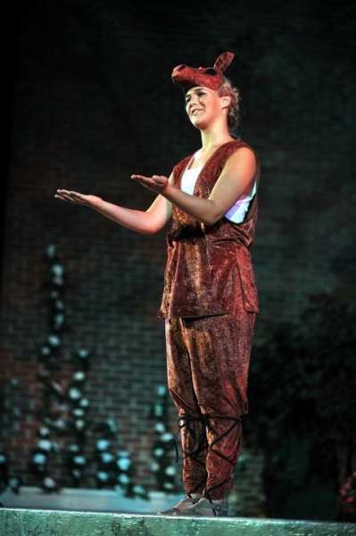 Photo Coverage: Opening Night of NSF's Love's Labor's Lost Image