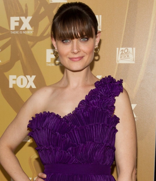 Photo Coverage: 2010 Emmy Coverage - FOX After-Party Image