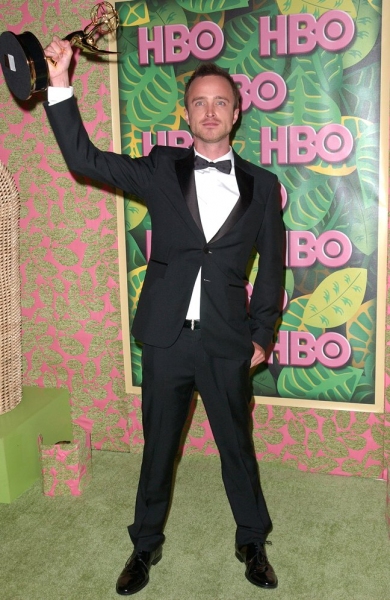 Photo Coverage: 2010 Emmy Coverage - HBO After-Party Image