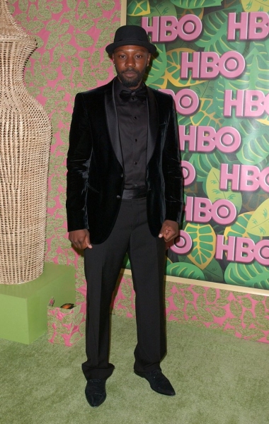 Photo Coverage: 2010 Emmy Coverage - HBO After-Party Image