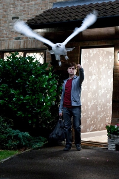 Photo Flash: Radcliffe in 'Deathly Hallows' - New Promo Shots! 